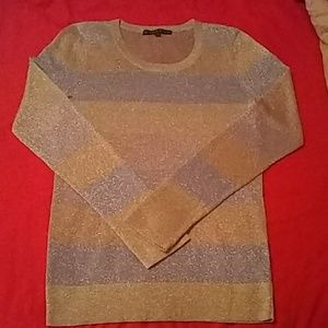 NWOT Antonio Melani Shimmery Sweater